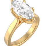 The Marie